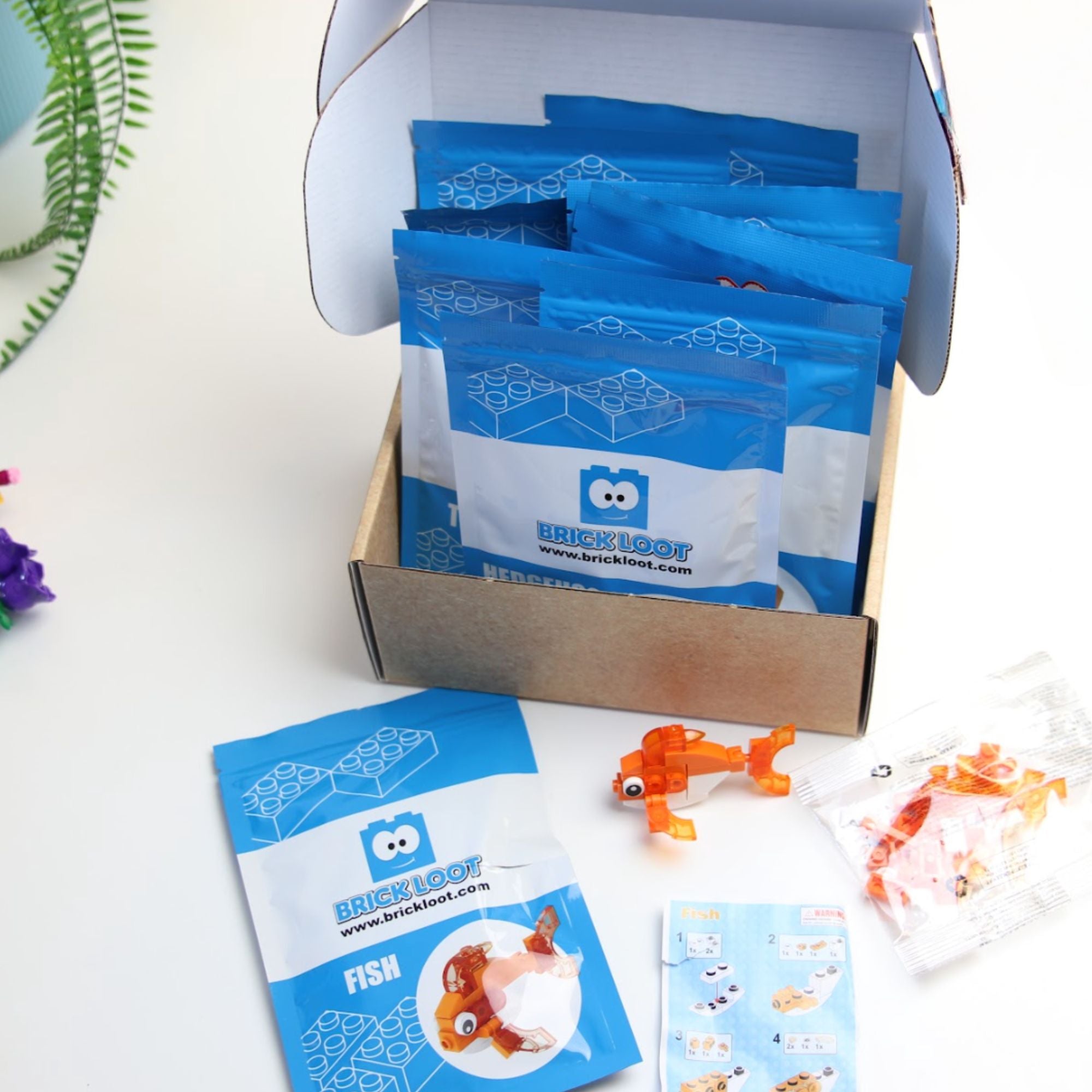 Party Favor Gifts -10 Packs