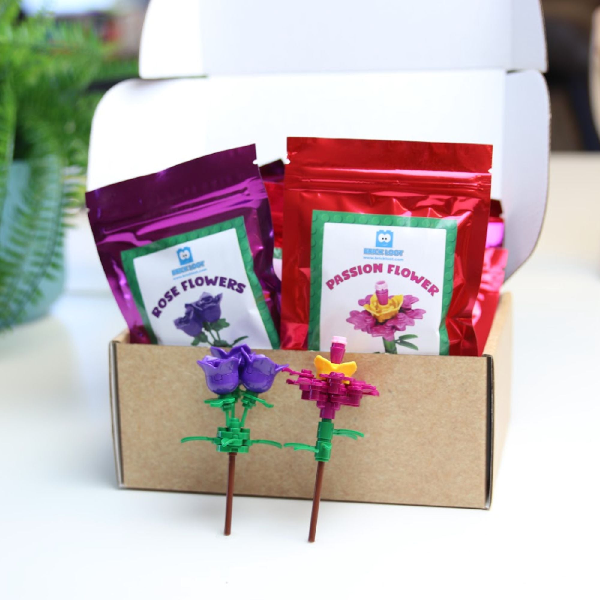 Party Favor Gifts -10 Packs