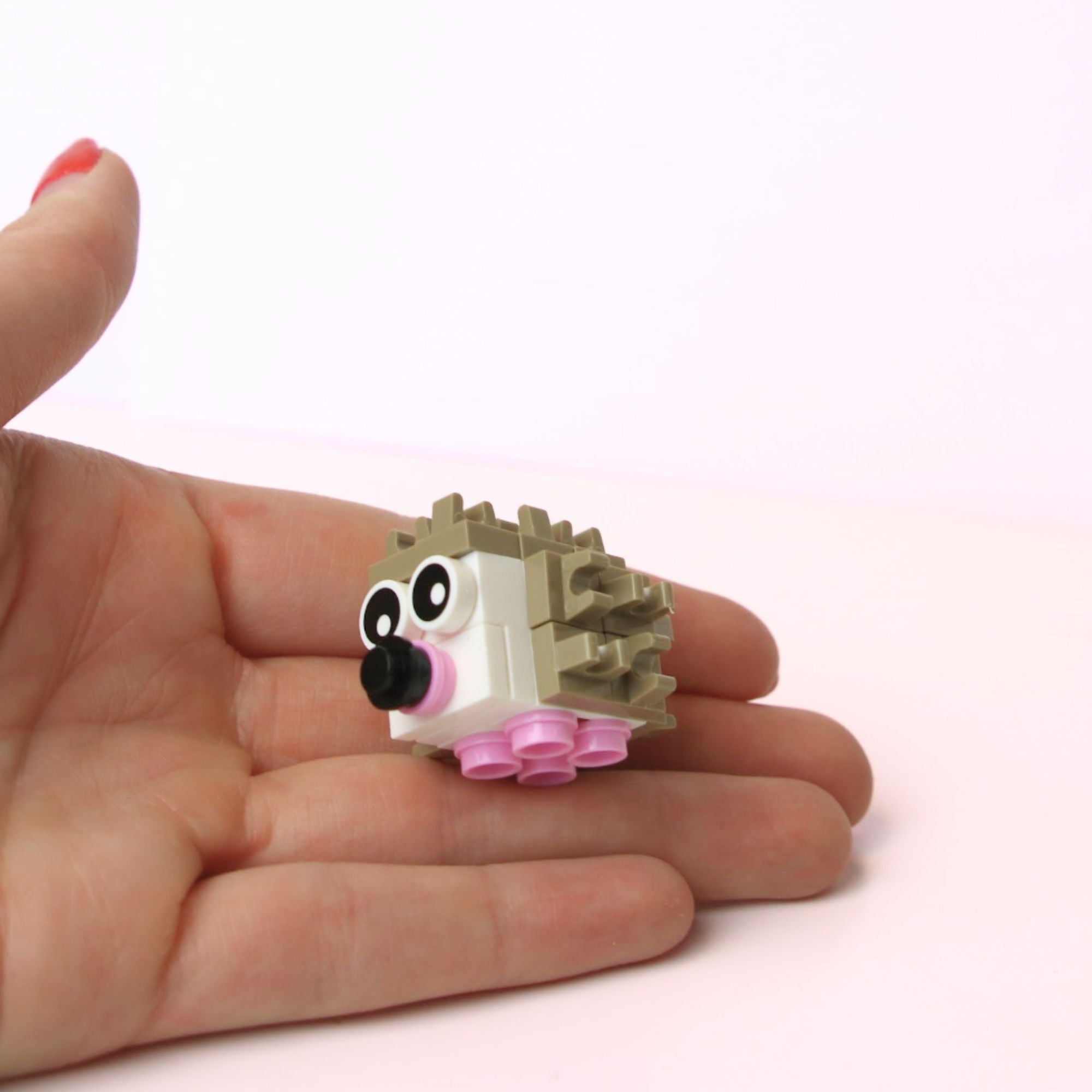Party Favor Gifts -10 Packs