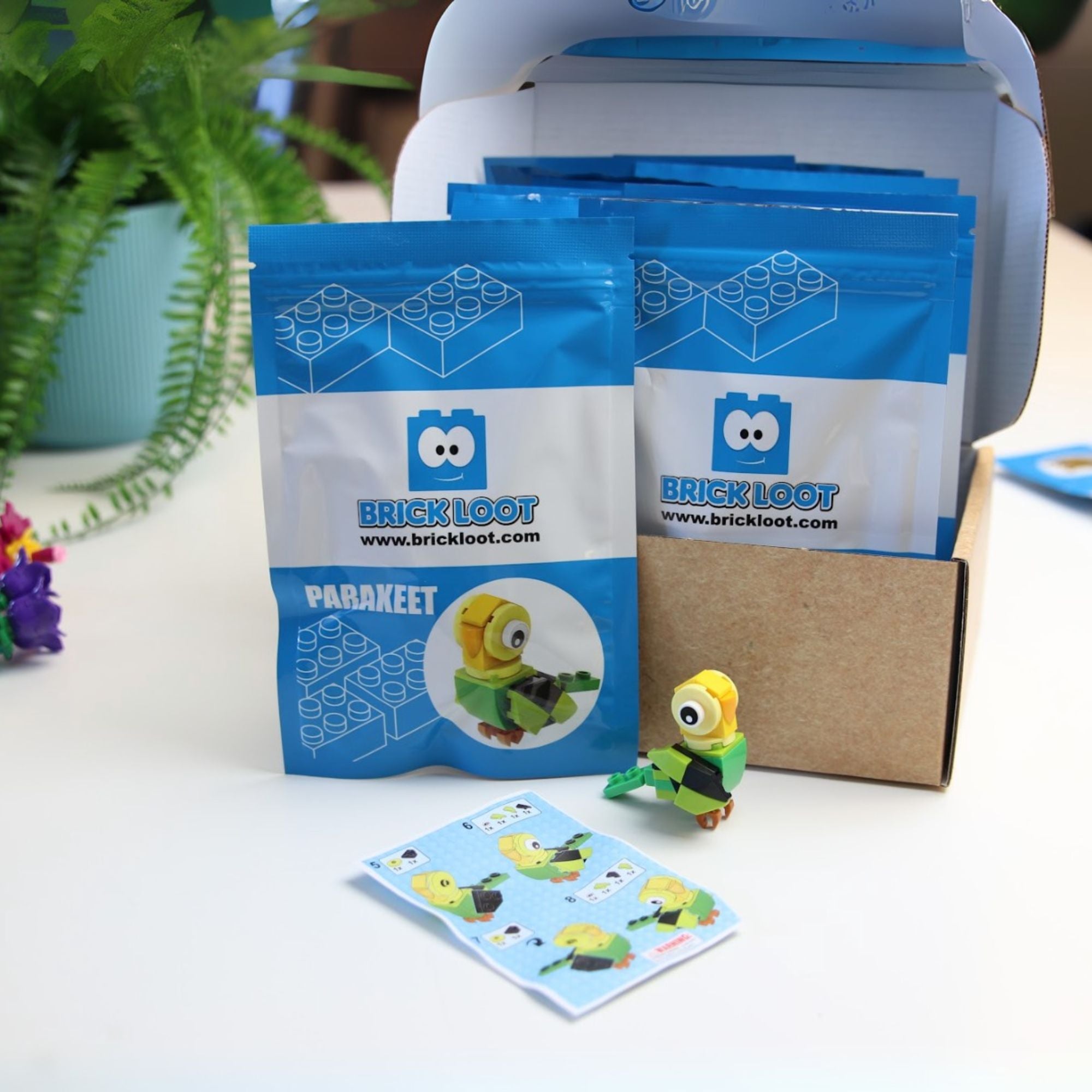 Party Favor Gifts -10 Packs