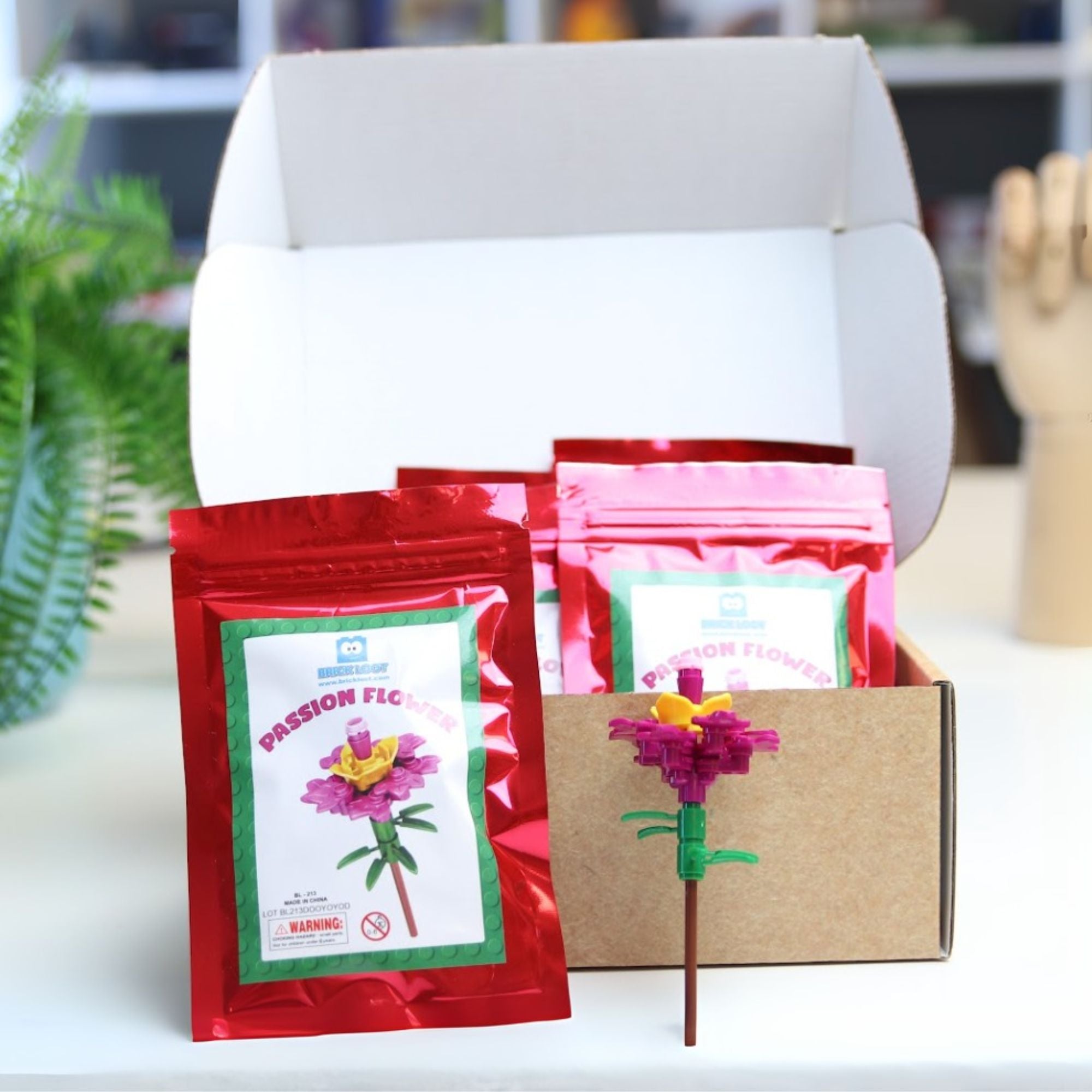 Party Favor Gifts -10 Packs