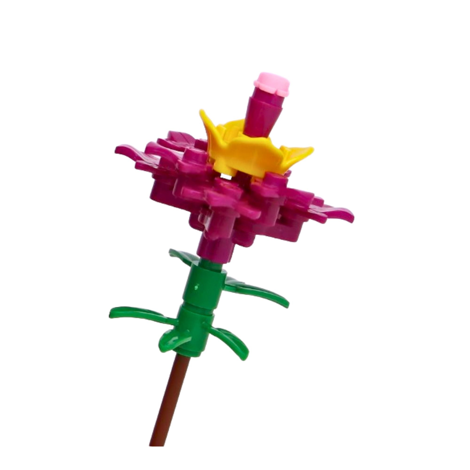 Party Favor Gifts -10 Packs