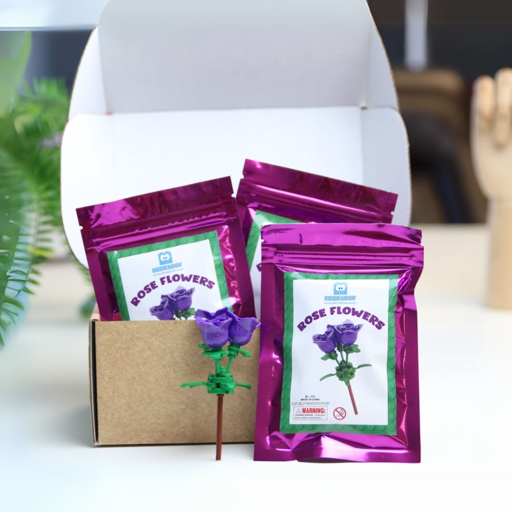 Party Favor Gifts -10 Packs