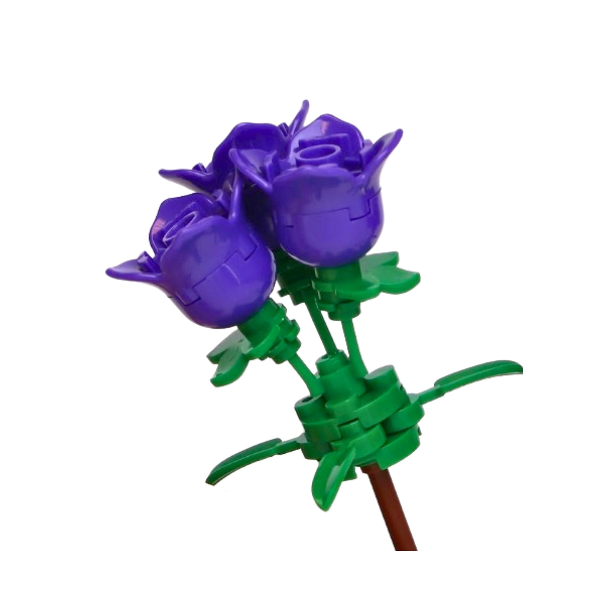 Party Favor Gifts -10 Packs