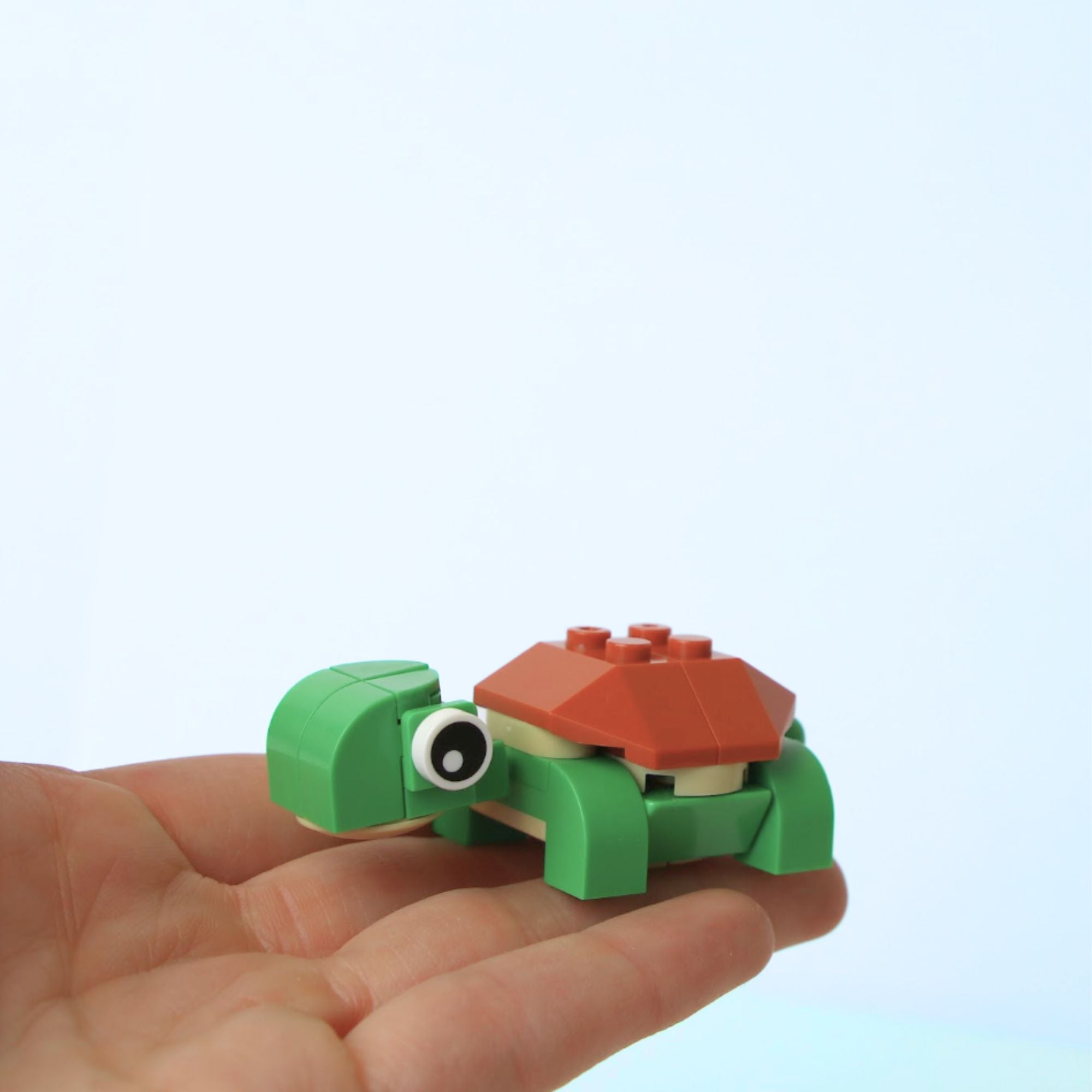 Party Favor Gifts -10 Packs